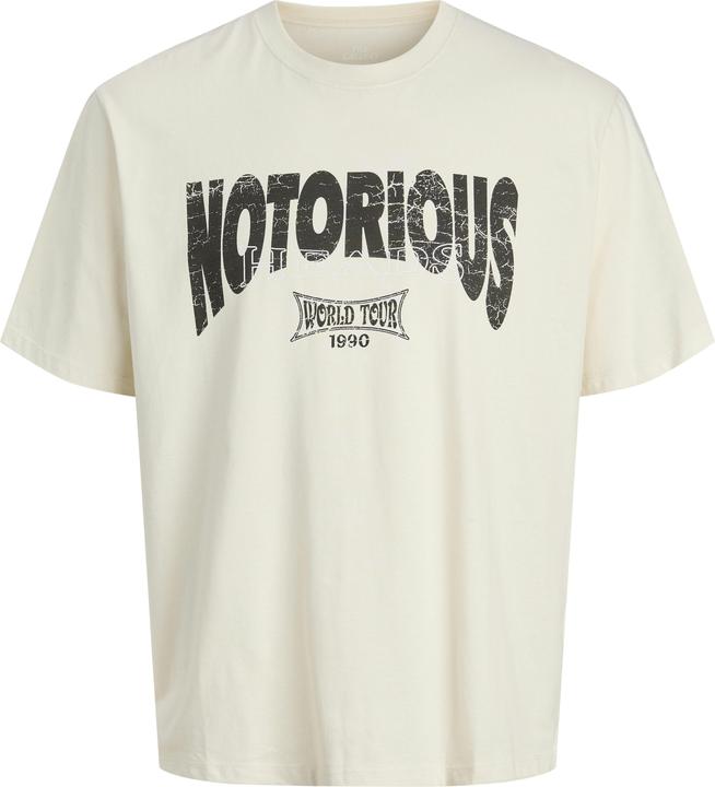 Actual product image Jack & Jones Plus Size T-shirt T-shirt (4XL)
