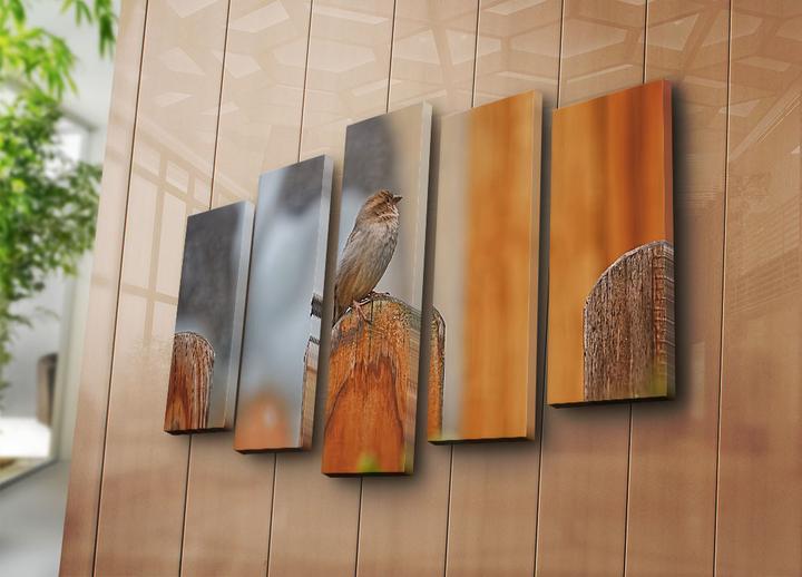 Produktbild Wallxpert Desmond (105 x 70 cm)