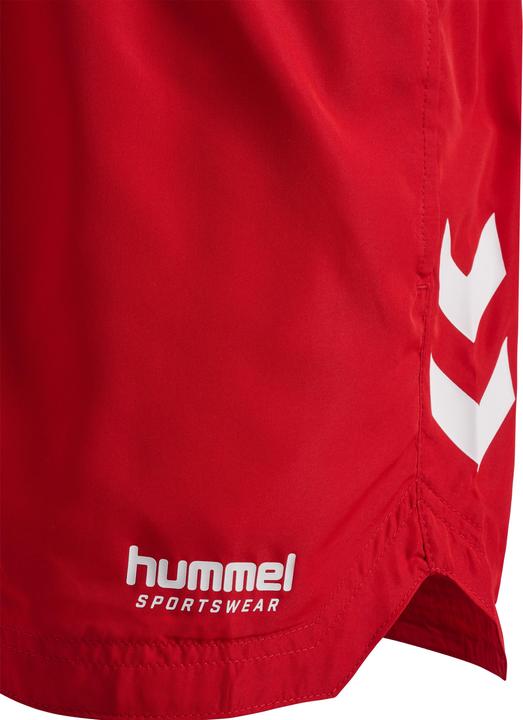 Produktbild hummel hmlLGC NED SWIM SHORTS (M)