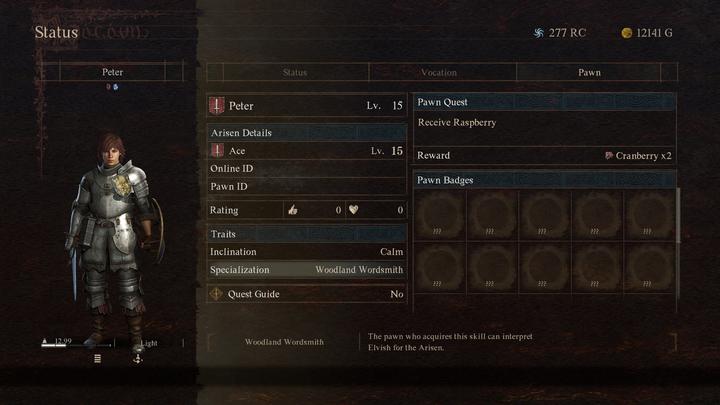 Immagine prodotto Capcom Dragon's Dogma 2 (PS5)