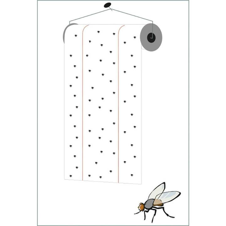 Produktbild Redtop Fliegenrolle 3100