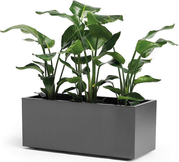 Actual product image Euro3plast Greener Kebe (39.50 cm)