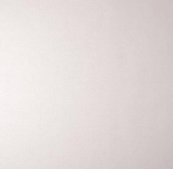 Immagine prodotto Windhager Zanzariera (100 x 120 cm)