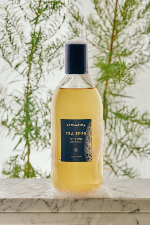 Produktbild Aromatica Tea Tree Purifying Shampoo (Flüssiges Shampoo)