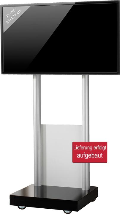 VCM Morgenthaler Monte Visolo 1 - 50 kg - 177,8 cm (70 pollici) - 81,3 cm (32 pollici) - 1 (70", 50 kg)