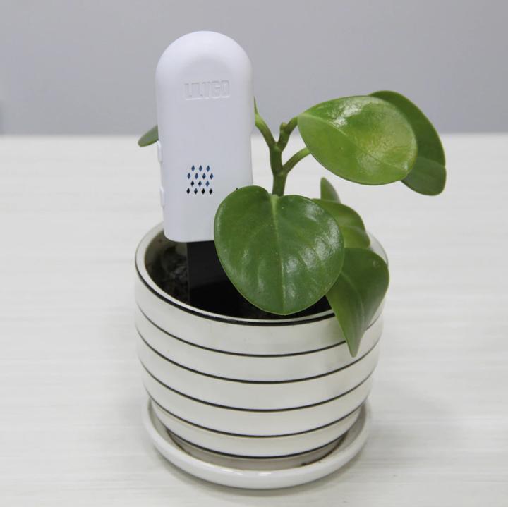 Actual product image Lilygo T-Higrow ESP32 Soil Moisture Sensor with BME280