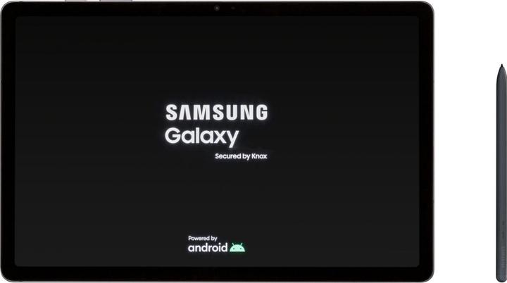 Actual product image Samsung Galaxy Tab S9 FE+ (WLAN only, 12.40", 128 GB, Gray)