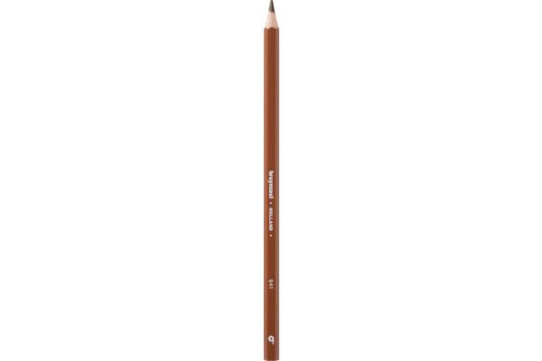 Actual product image Bruynzeel Colored pencil Colorexpress (Light brown, 60516941 x)