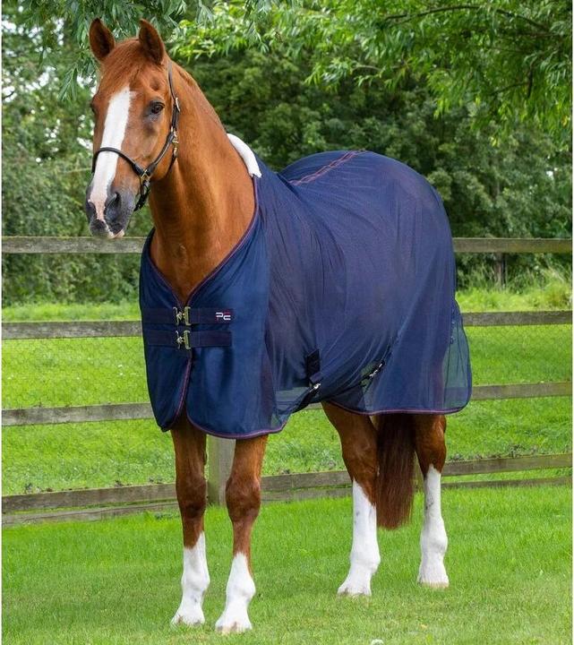 Premier Equine Ventoso