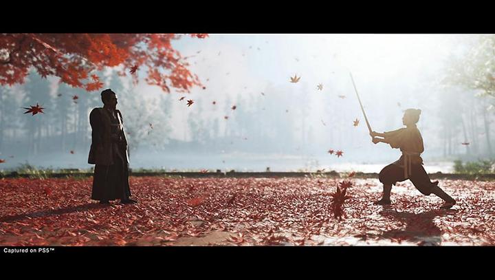 Productafbeelding Sony Ghost of Tsushima Director's Cut (PS5, Meertalig)