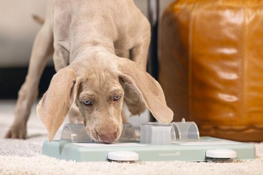 Immagine prodotto Beeztees Reef (Intelligenza cane toy)