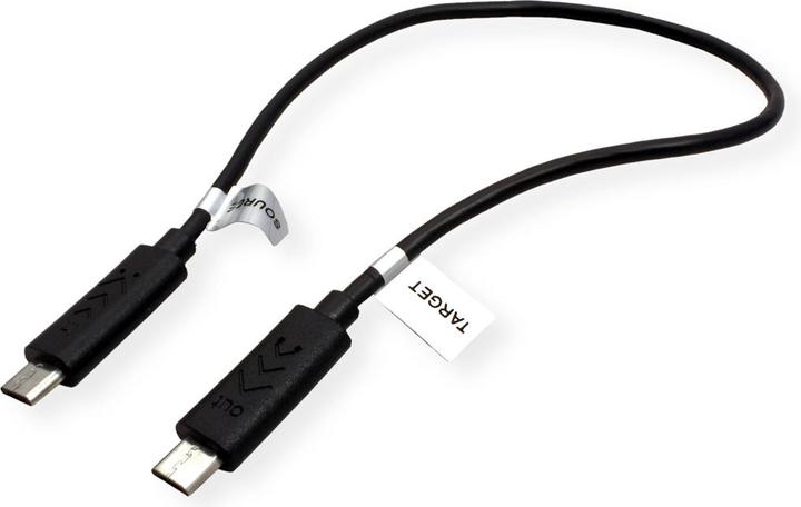 Image du produit Roline Câble de chargement USB (0.30 m, USB 2.0)
