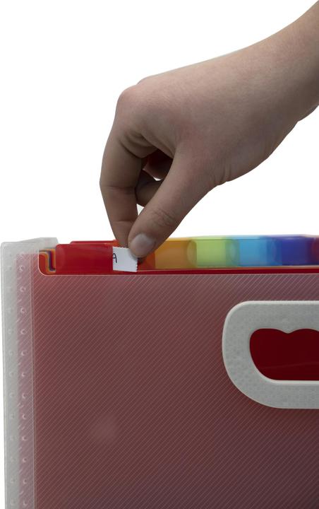 Image du produit Exacompta L'affaire des documents en cristal (A4, 1 x)