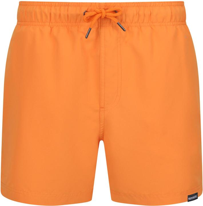 Regatta Mawson II Kurze Hose (XXL)