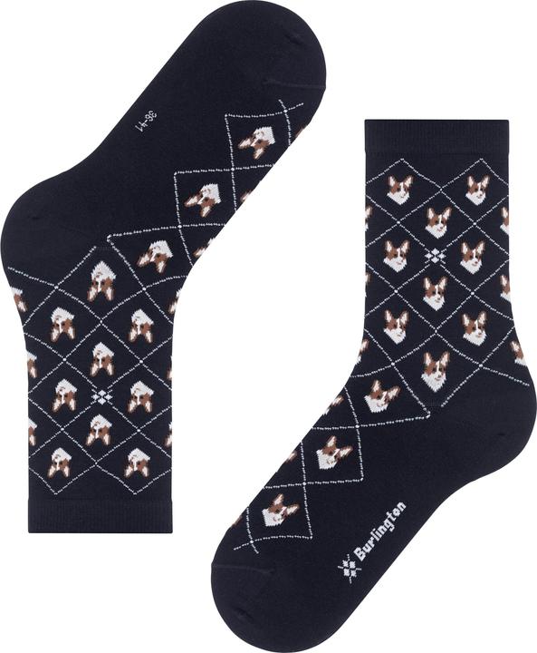 Actual product image Burlington Corgi (Single pack, 36 - 41)