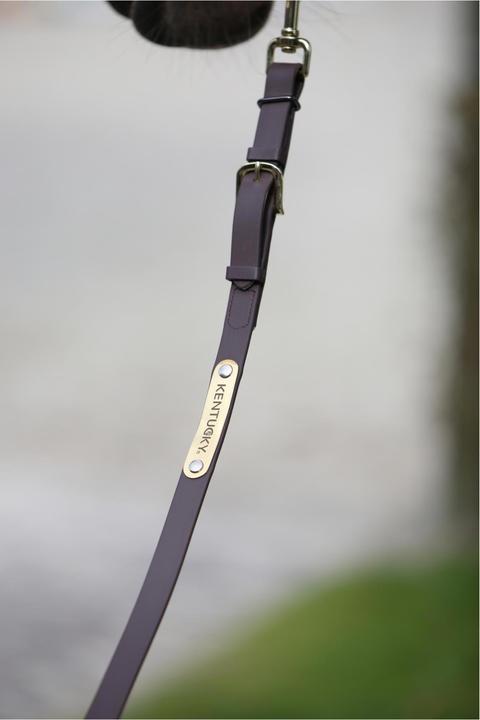 Actual product image Kentucky Horsewear Demonstration rope 2m Biothane Beta