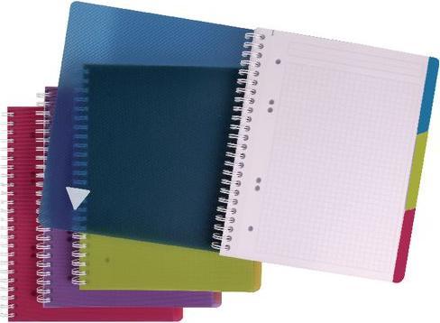 Clairefontaine Linicolor Evolutive Book (A4+, Checked, Soft cover)