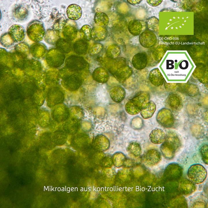 Image du produit Effective Nature Chlorella bio hautement dosée (420 pièce(s), Cachets, 210 g)