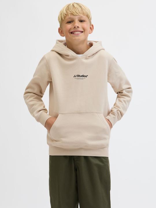 Produktbild Jack & Jones Jjesoho Sweat Hood Noos Jnr (164)