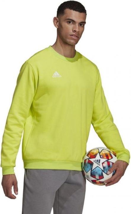 Image du produit adidas Sweat-shirt Entrada 22 Hommes (L)