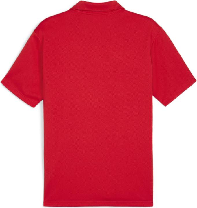 Actual product image Puma teamGOAL Polo (L)