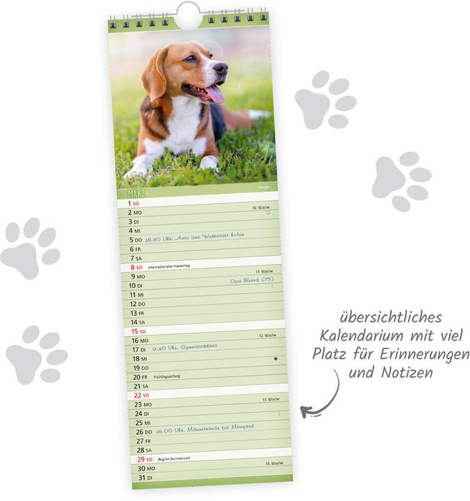 Actual product image Trtsch Streifenkalender Hunde 2026 Notizkalender (German)