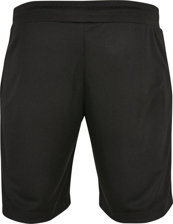 Actual product image Starter Shorts Team Mesh (M, L)