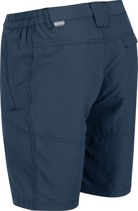 Actual product image Regatta Leesville II Shorts Hiking (Frequency band 38 (2600 MHz))