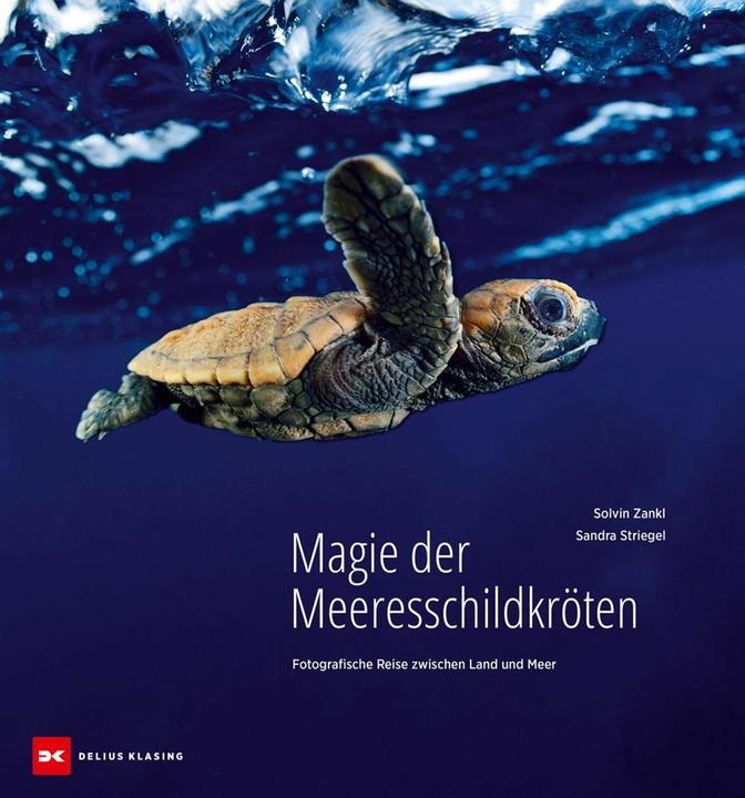 Produktbild Magie der Meeresschildkröten (Deutsch, Sandra Striegel, 2024)