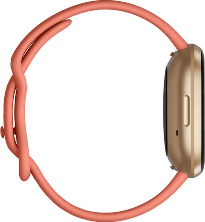Immagine prodotto Fitbit Versa 3 (40.48 mm)