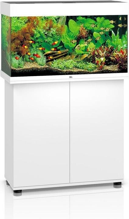 Actual product image Juwel Aquarium Rio (125 l)
