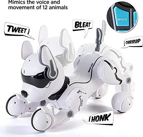 Actual product image Top Race Robot dog