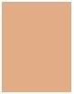 Actual product image Max Factor Facefinity Compact (008 Toffee)