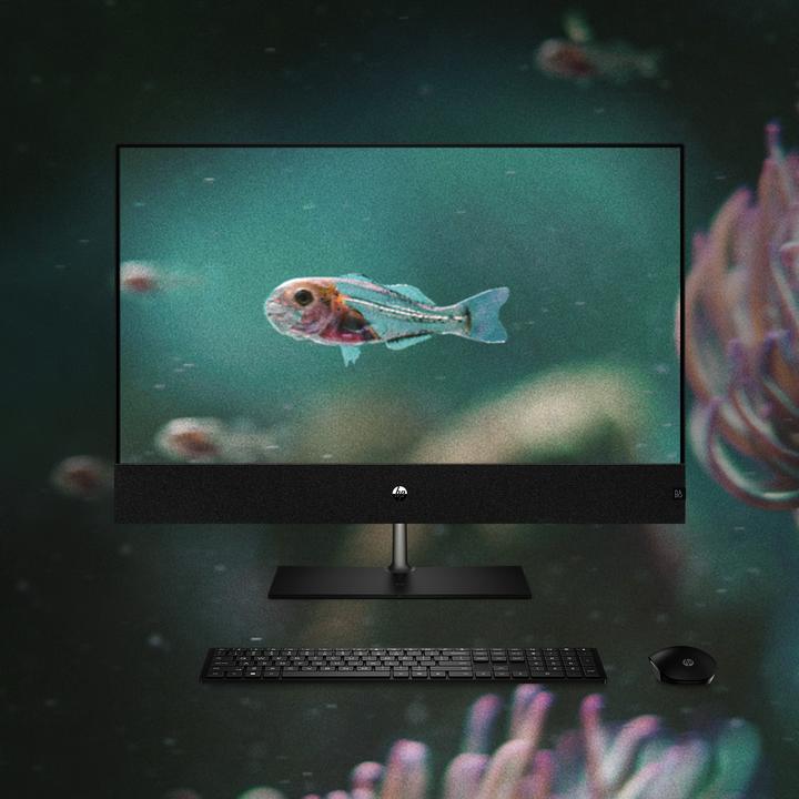 Produktbild HP Pavilion 31.5 inch All-in-One Desktop PC 32-b1747nzBundle PC (Intel Core i7-13700T, 16 GB, 1000 GB, GeForce RTX 3050)