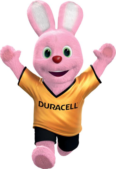 Actual product image Duracell Plus (40 pcs., AAA)