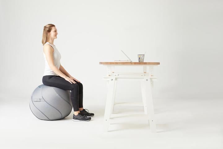 Image du produit Domyos SWISSBALL COVER MEDIUM 328586