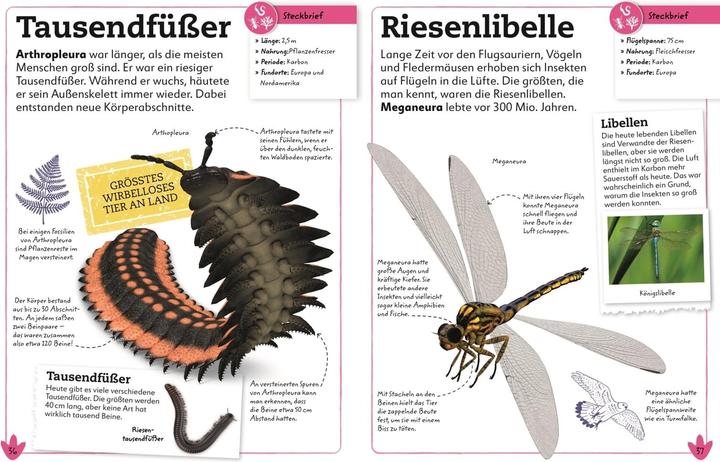 Immagine prodotto Dinosaurier (Tedesco, DK Verlag - Bambini, Preside Lomax, Eva Sixt, 2021)