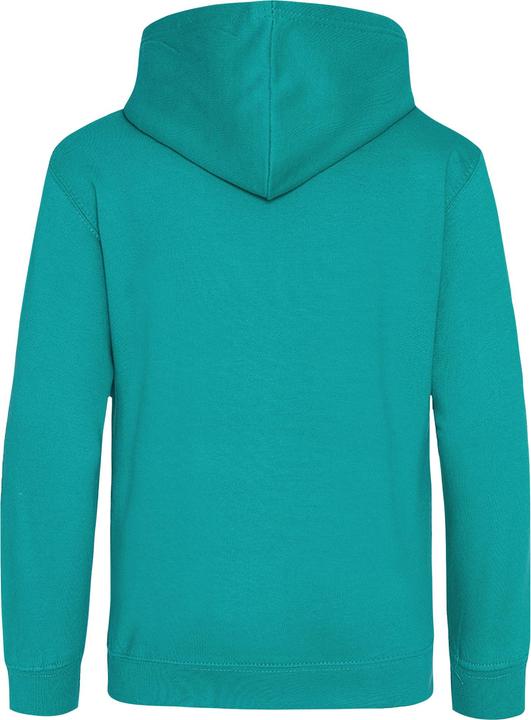 Actual product image Awdis Hooded jumper (158)