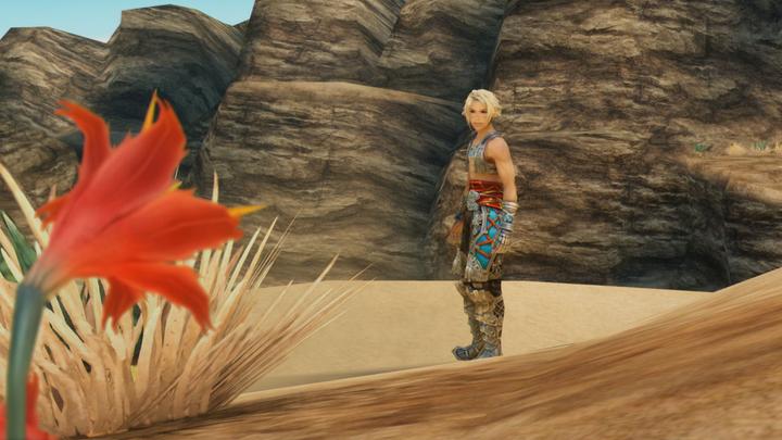 Produktbild Square Enix Final Fantasy XII Zodiac Age (Switch, Switch Lite, Switch OLED, EN)