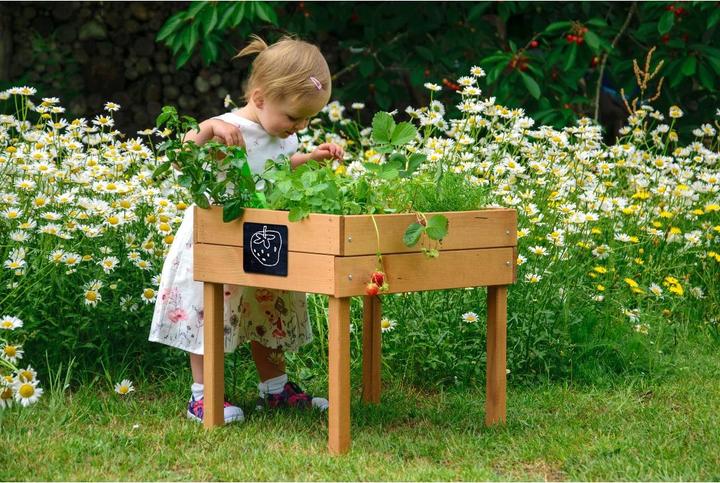 Productafbeelding Dobar Verhoogd kinderbed