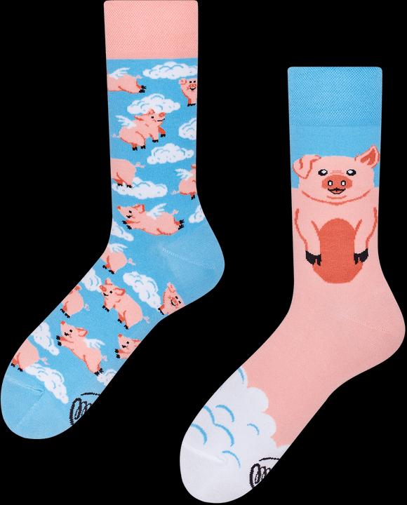Many Mornings Piggy Dream