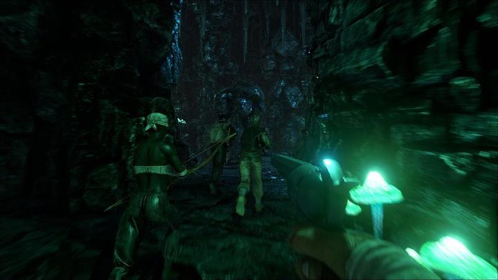 Actual product image Studio Wildcard ARK: Ultimate Survivor Edition (PS4, FR)