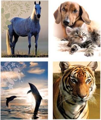 Produktbild No Name Briefpapier Tiere bunt 4 Motive sortiert (10 Stk.)