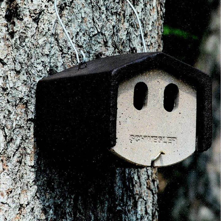 Produktbild Schwegler Nisthöhle