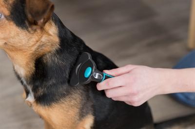 Produktbild Trixie Carding-Striegel (Hund)