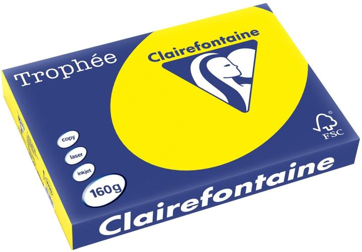 Image du produit Clairalfa Papier multifonctions, DIN A3, jaune canari (160 g/m², 250 x, A3)