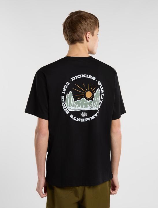 Actual product image Dickies Outdoor Ss Tee Black (L)