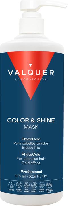 Valquer ICE HAIR MASK COLOR & SHINE 1000ml (1000 ml)