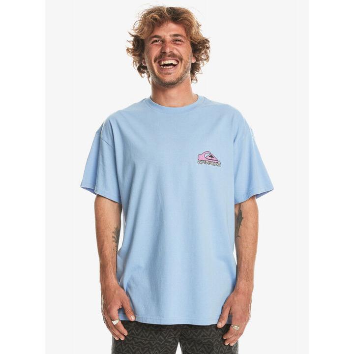 Actual product image Quiksilver Take Us Back Logo S/S (M)