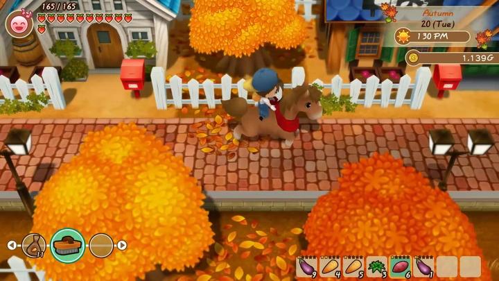 Produktbild Marvelous Story of Seasons : Friends of Mineral Town (Switch, FR)